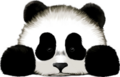 Thumbnail for version as of 13:37, 23 February 2024
