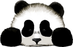Ninoupanda.png