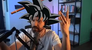 WDYWMTS Goku.jpeg